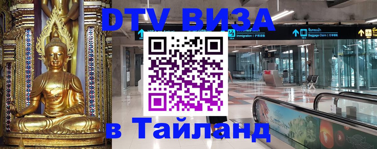 Оформление DTV визы под ключ: стоимость и тарифы, только загранпаспорт - 19.11.2025 